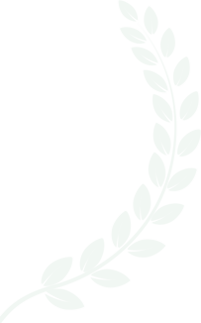 TradoXMarkets